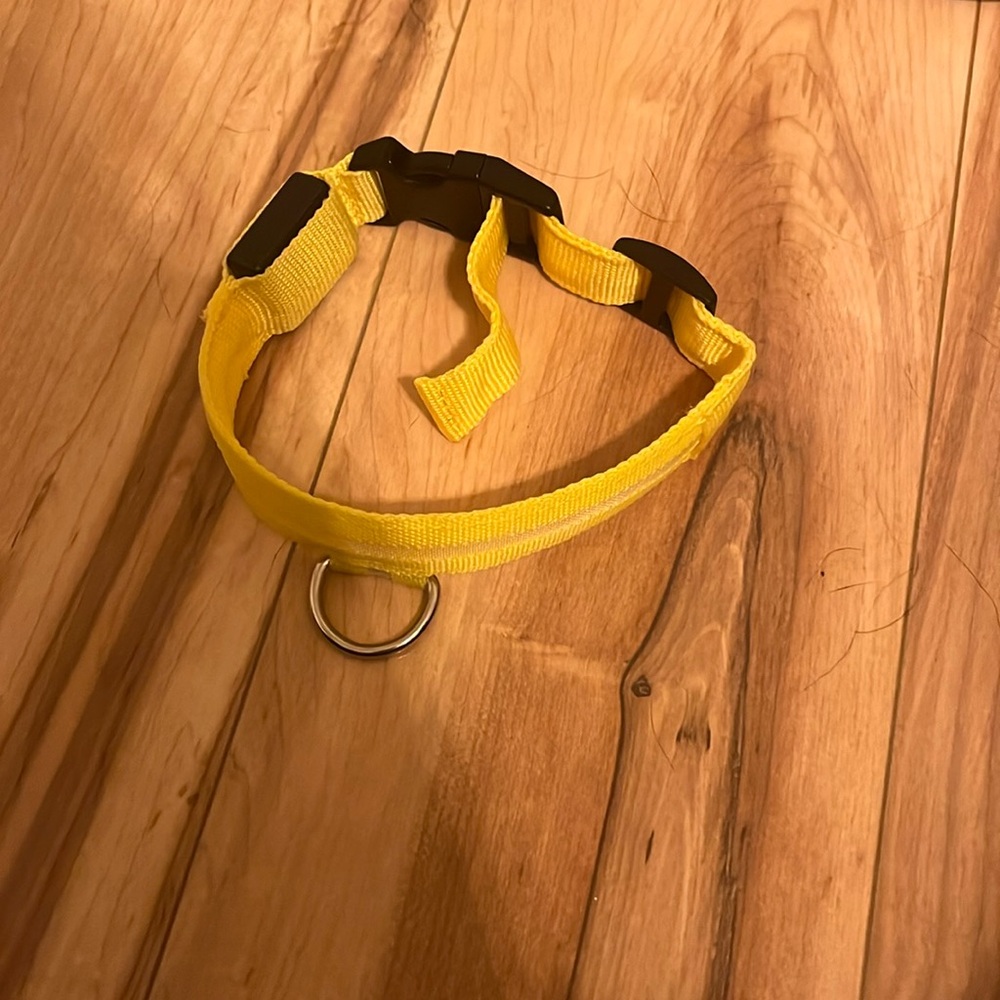 Yellow light up dog collar